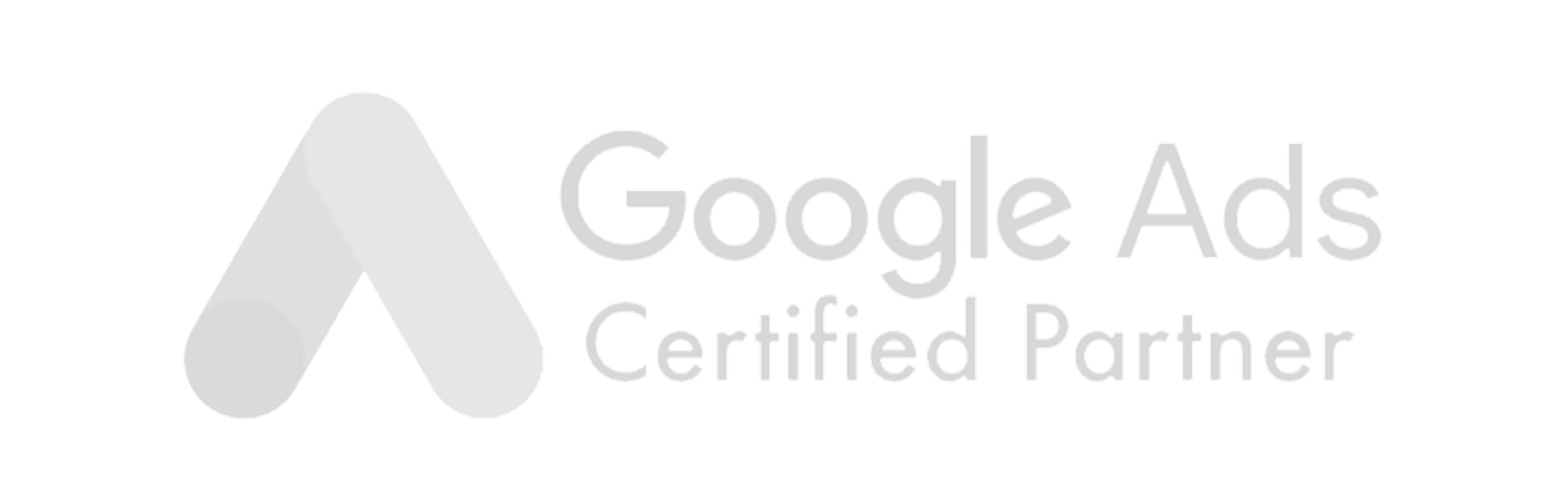 Google Ads Partner