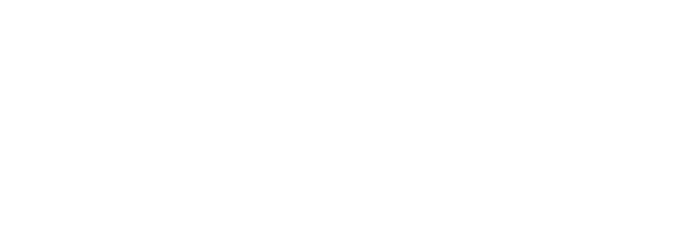 Meta Partner